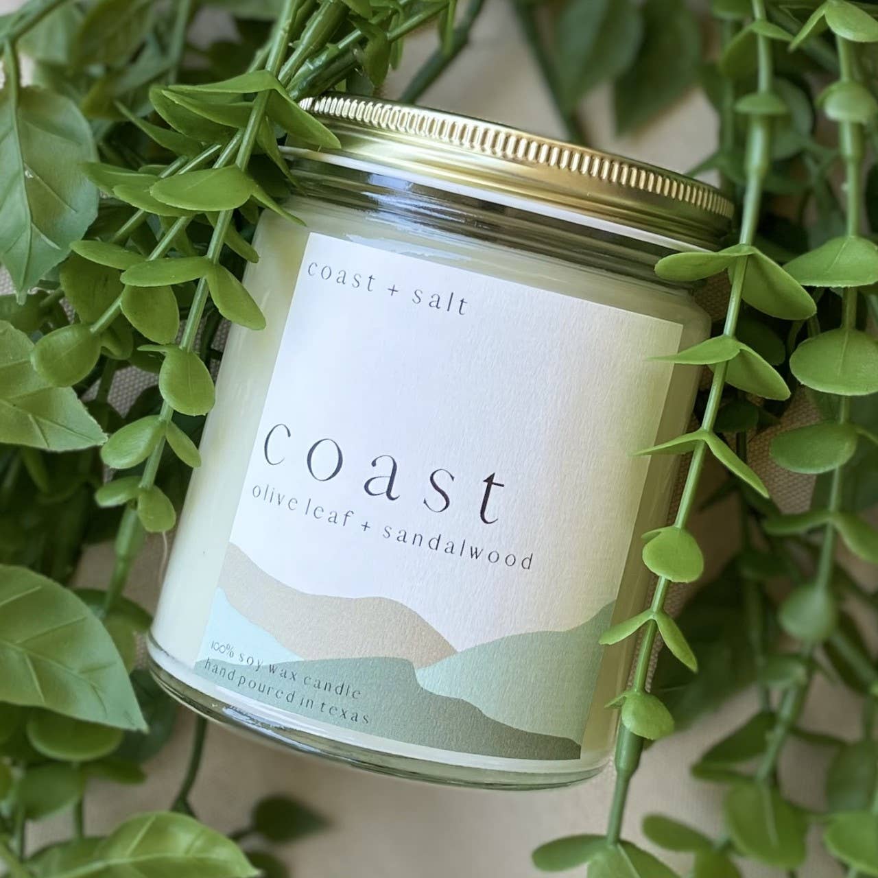 Coast | Olive Leaf + Sandalwood Candle