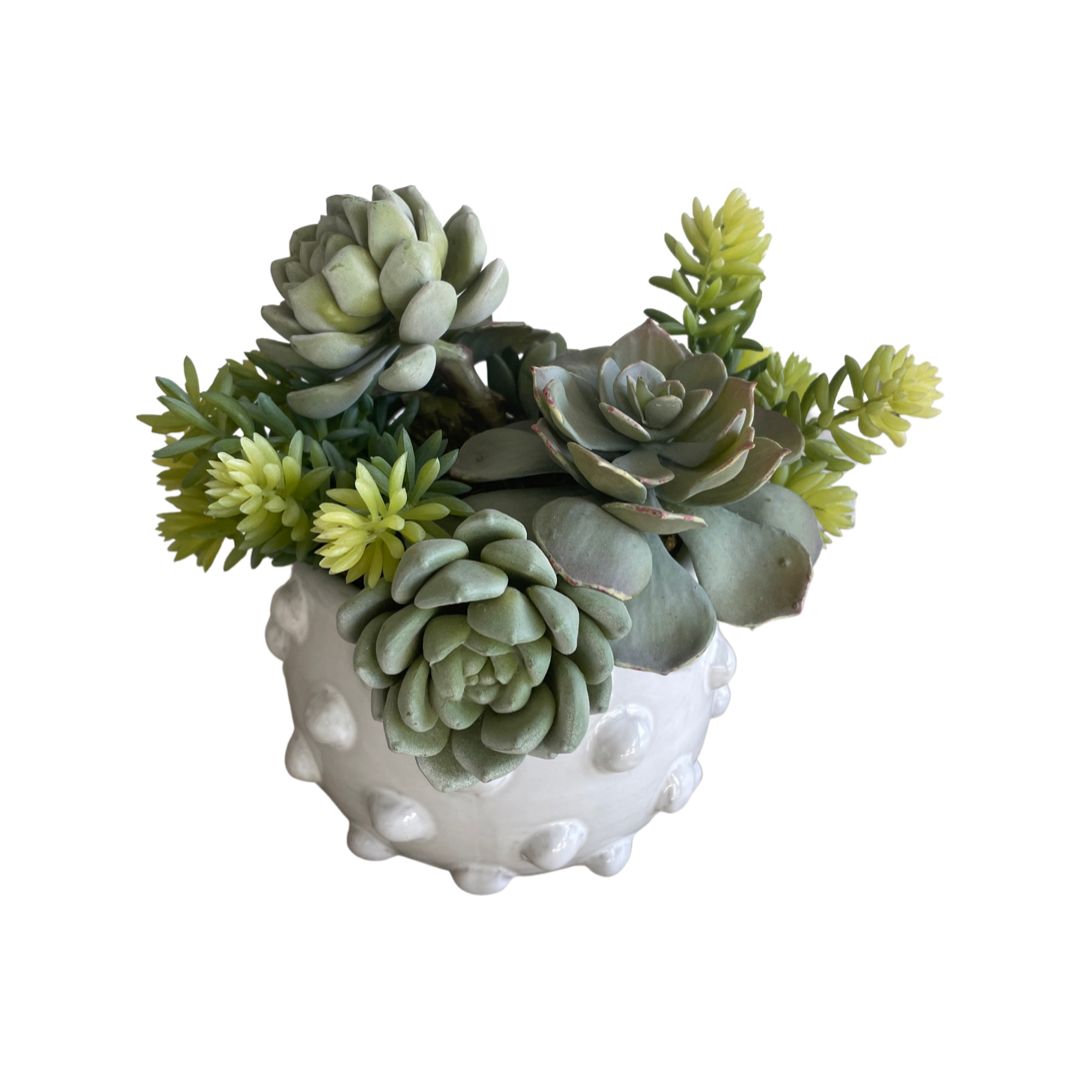 Faux Succulent Arrangement in White Textural Pot