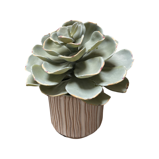 Faux Petit Succulent in Linear Cream Pot