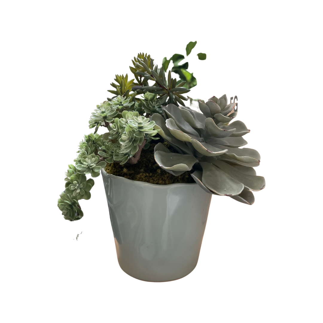 Faux Succulent Arrangement in Light Blue Ceramic Pot