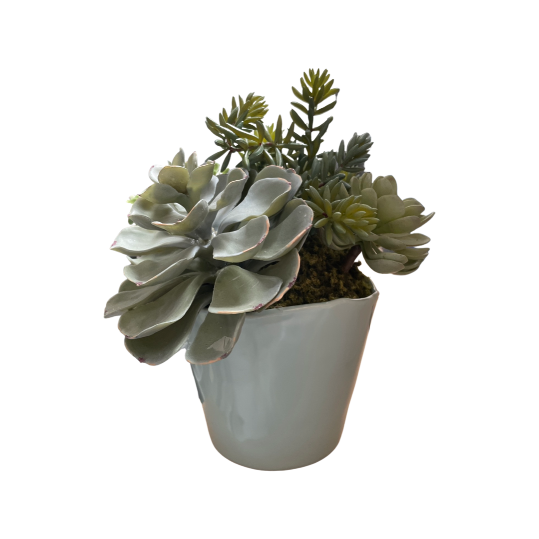 Faux Succulent Arrangement in Light Blue Ceramic Pot