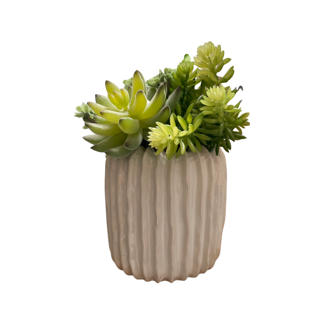 Faux Succulent Arrangement in Ribbed White Ceramic Pot