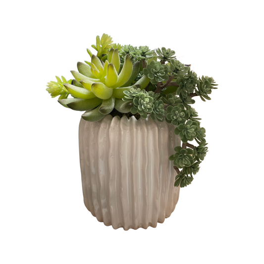 Faux Succulent Arrangement in Ribbed White Ceramic Pot