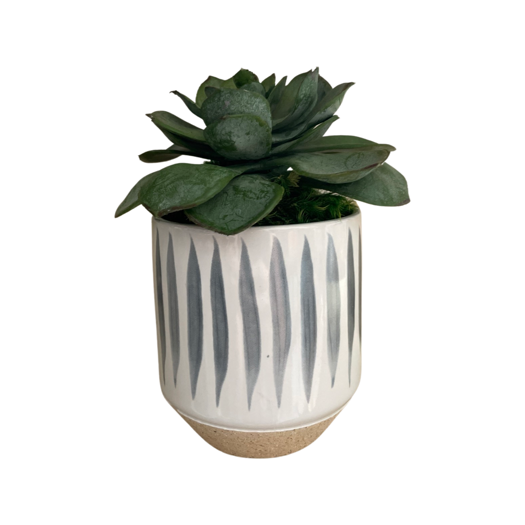 Faux Petit Succulent in Blue & White Ceramic Pot