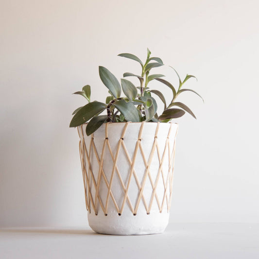 Rattan Woven Planter