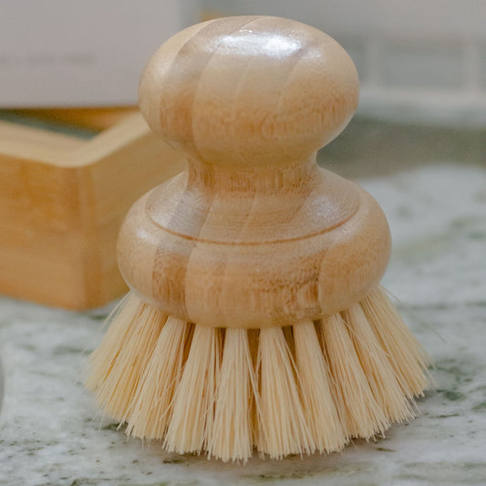 Casa Agava Dishwashing Brush