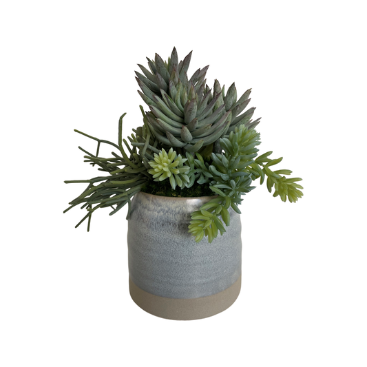 Faux Succulent Arrangement in Blue and Tan Container