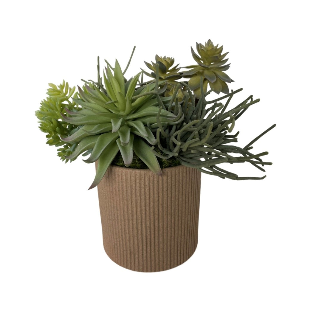 Faux Succulent Arrangement in Fluted Container